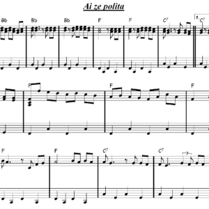 Ai ze polita - Acordeón